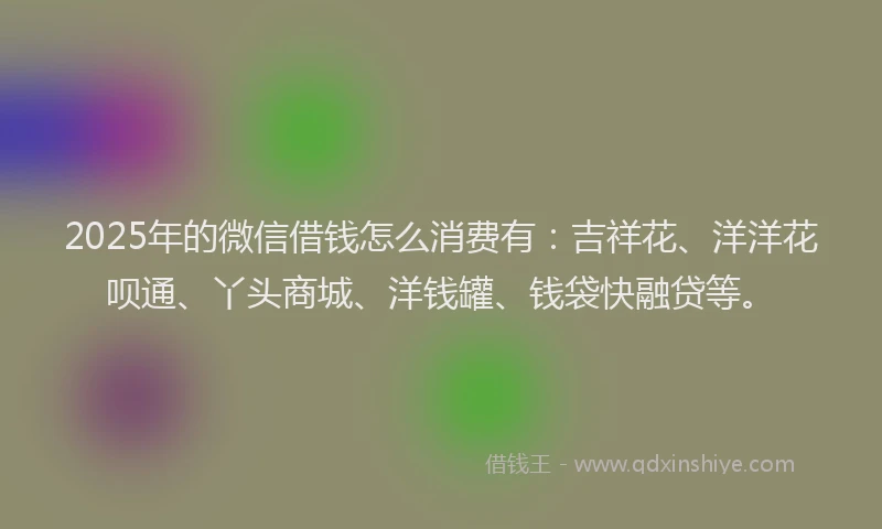 2025年的微信借钱怎么消费有：吉祥花、洋洋花呗通、丫头商城、洋钱罐、钱袋快融贷等。