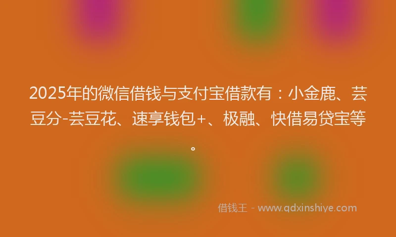2025年的微信借钱与支付宝借款有：小金鹿、芸豆分-芸豆花、速享钱包+、极融、快借易贷宝等。