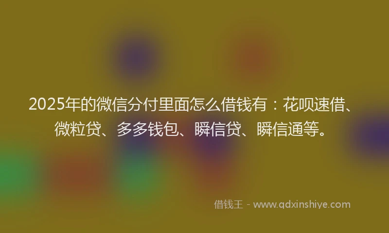 2025年的微信分付里面怎么借钱有：花呗速借、微粒贷、多多钱包、瞬信贷、瞬信通等。