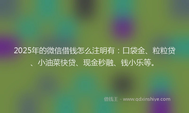 2025年的微信借钱怎么注明有：口袋金、粒粒贷、小油菜快贷、现金秒融、钱小乐等。