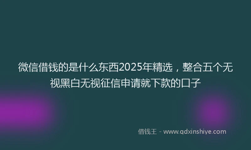 微信借钱的是什么东西2025年精选，整合五个无视黑白无视征信申请就下款的口子