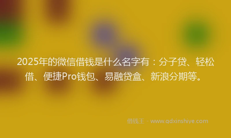 2025年的微信借钱是什么名字有：分子贷、轻松借、便捷Pro钱包、易融贷盒、新浪分期等。