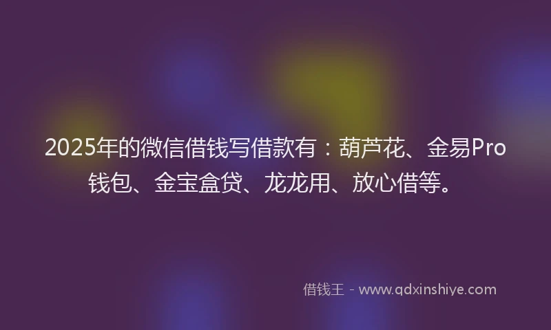 2025年的微信借钱写借款有：葫芦花、金易Pro钱包、金宝盒贷、龙龙用、放心借等。
