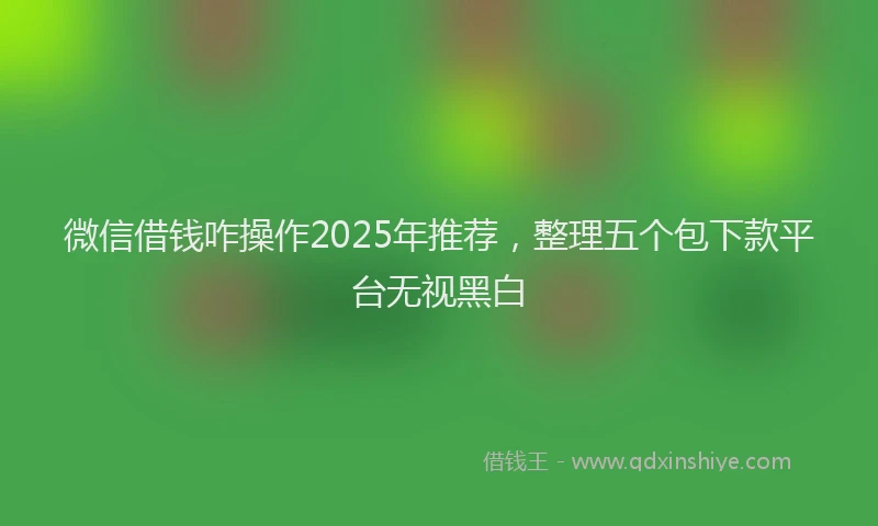 微信借钱咋操作2025年推荐，整理五个包下款平台无视黑白