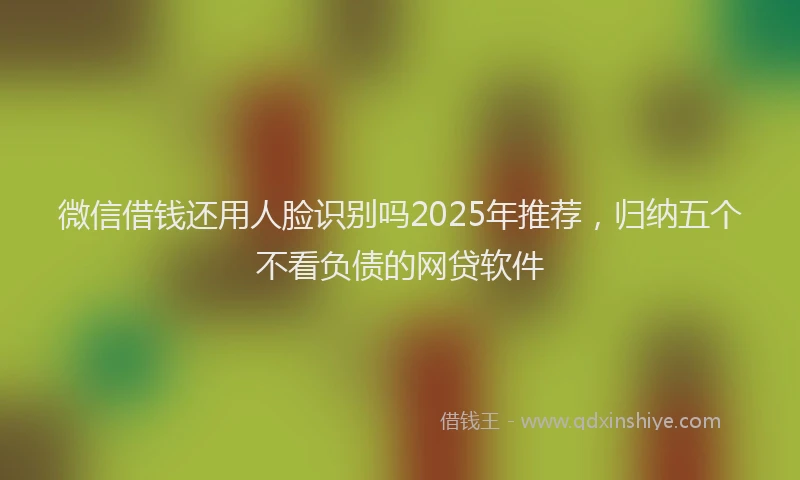 微信借钱还用人脸识别吗2025年推荐，归纳五个不看负债的网贷软件