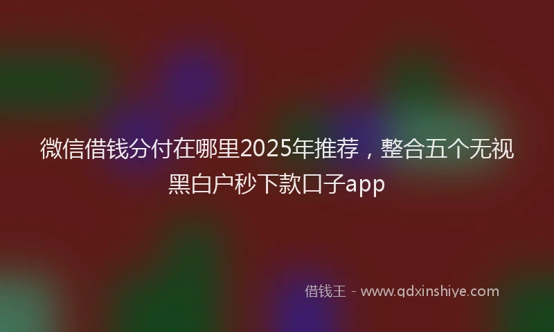 微信借钱分付在哪里2025年推荐，整合五个无视黑白户秒下款口子app