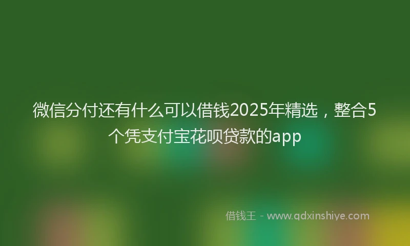 微信分付还有什么可以借钱2025年精选，整合5个凭支付宝花呗贷款的app