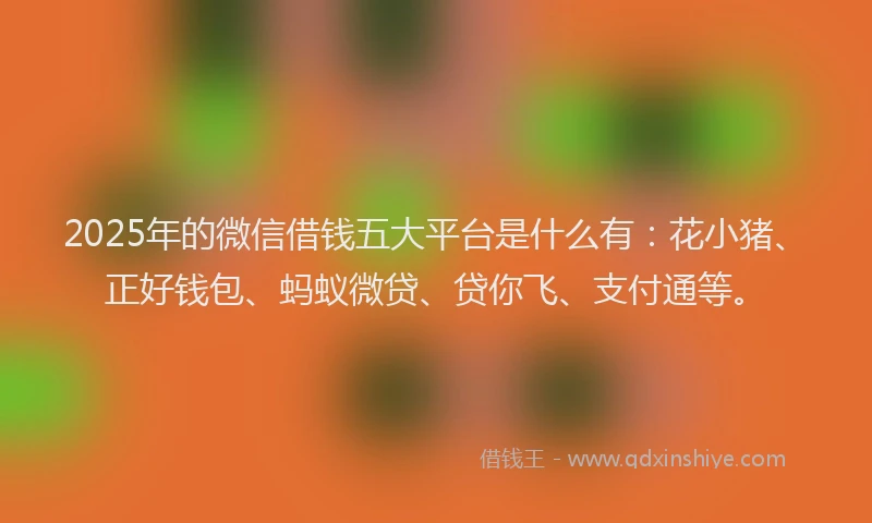 2025年的微信借钱五大平台是什么有：花小猪、正好钱包、蚂蚁微贷、贷你飞、支付通等。