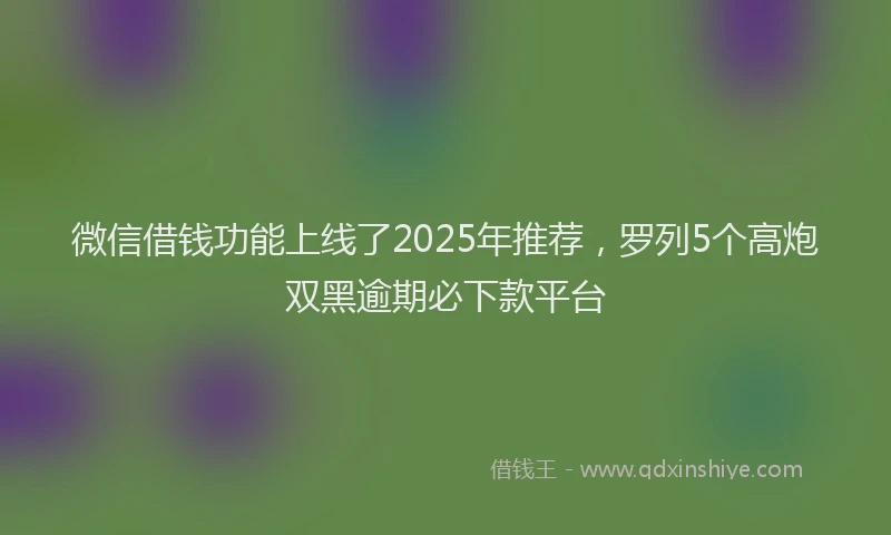 微信借钱功能上线了2025年推荐，罗列5个高炮双黑逾期必下款平台
