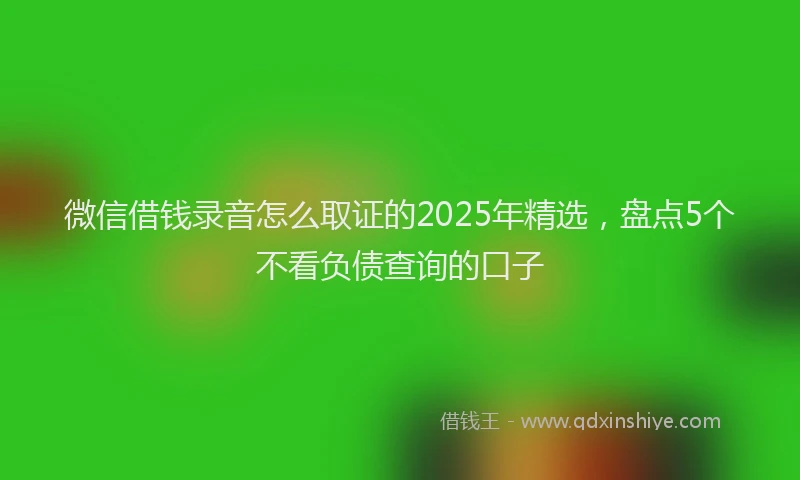 微信借钱录音怎么取证的2025年精选，盘点5个不看负债查询的口子