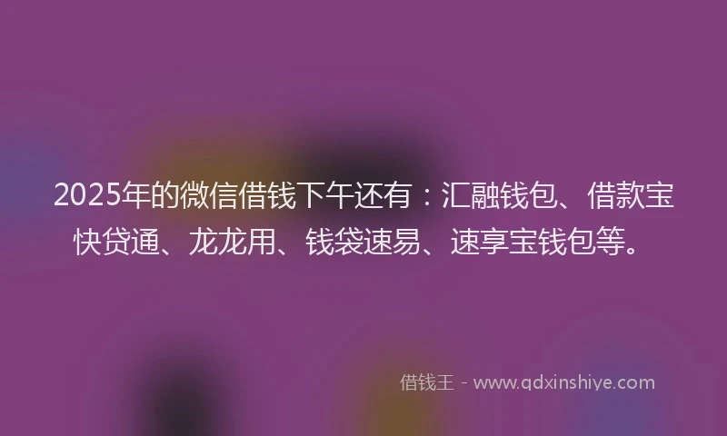 2025年的微信借钱下午还有：汇融钱包、借款宝快贷通、龙龙用、钱袋速易、速享宝钱包等。