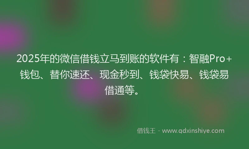 2025年的微信借钱立马到账的软件有：智融Pro+钱包、替你速还、现金秒到、钱袋快易、钱袋易借通等。