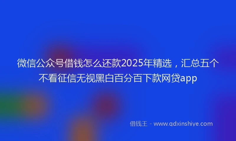 微信公众号借钱怎么还款2025年精选，汇总五个不看征信无视黑白百分百下款网贷app