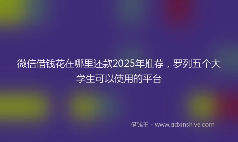 微信借钱花在哪里还款2025年推荐，罗列五个大学生可以使用的平台