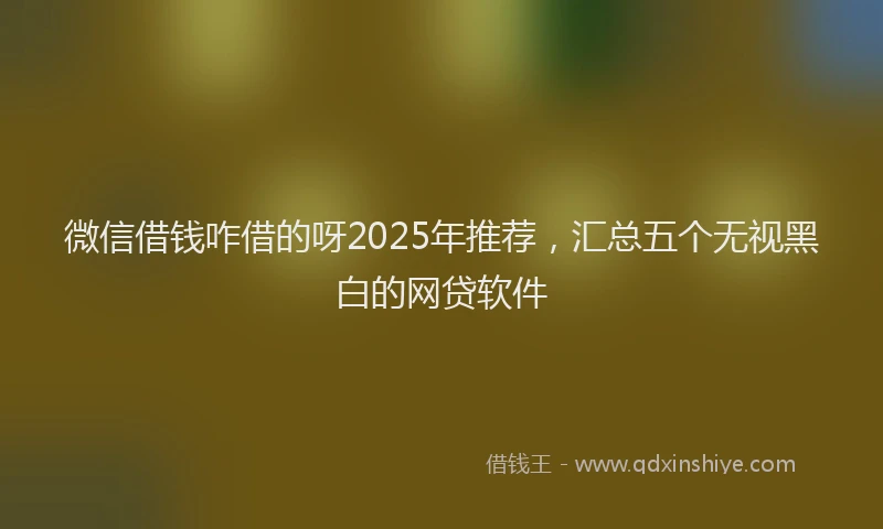 微信借钱咋借的呀2025年推荐，汇总五个无视黑白的网贷软件