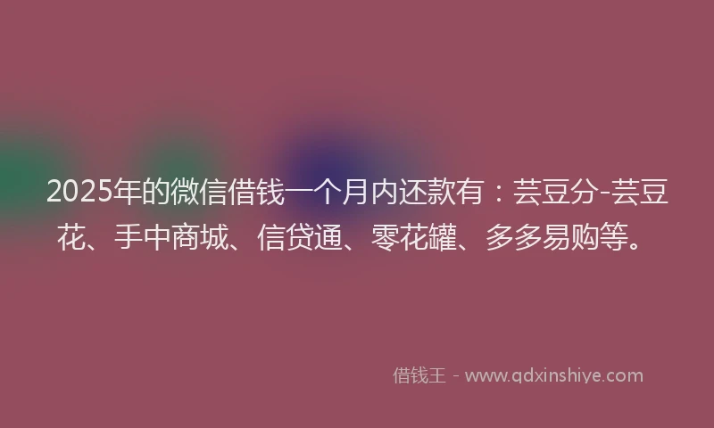 2025年的微信借钱一个月内还款有：芸豆分-芸豆花、手中商城、信贷通、零花罐、多多易购等。