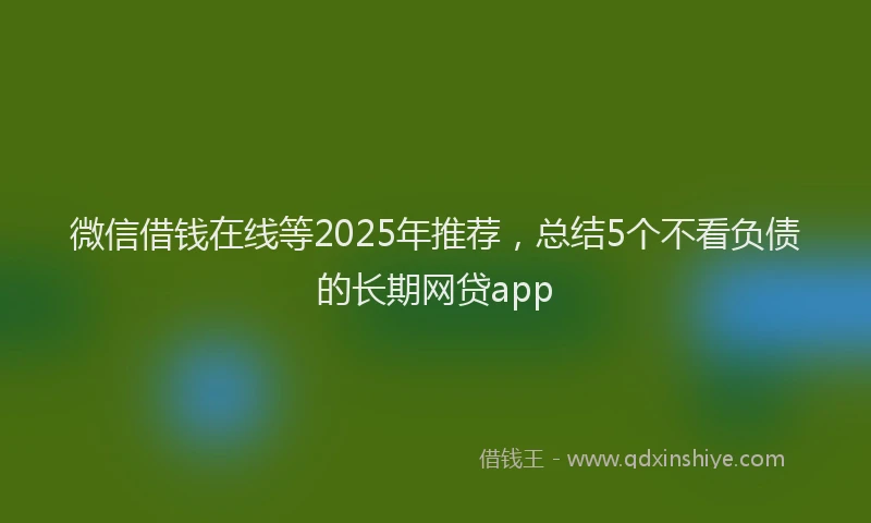 微信借钱在线等2025年推荐，总结5个不看负债的长期网贷app