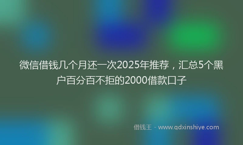 微信借钱几个月还一次2025年推荐，汇总5个黑户百分百不拒的2000借款口子