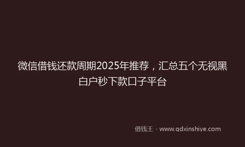 微信借钱还款周期2025年推荐，汇总五个无视黑白户秒下款口子平台