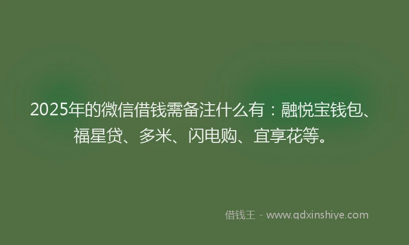 2025年的微信借钱需备注什么有：融悦宝钱包、福星贷、多米、闪电购、宜享花等。