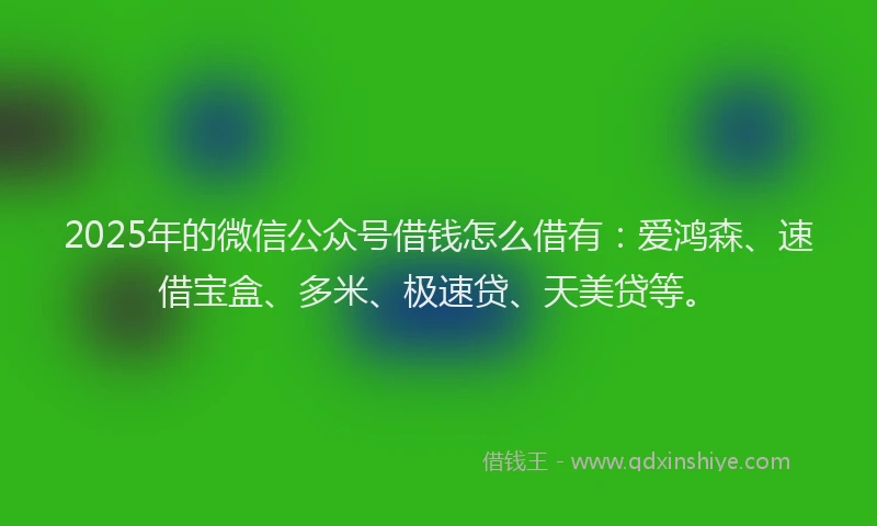2025年的微信公众号借钱怎么借有：爱鸿森、速借宝盒、多米、极速贷、天美贷等。