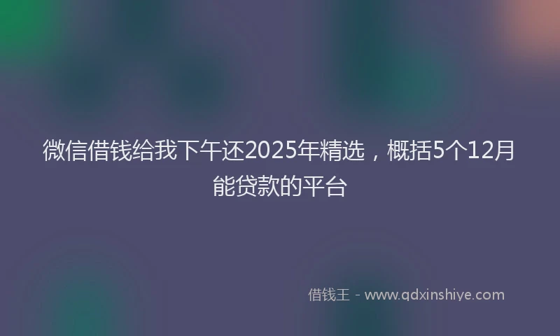 微信借钱给我下午还2025年精选，概括5个12月能贷款的平台
