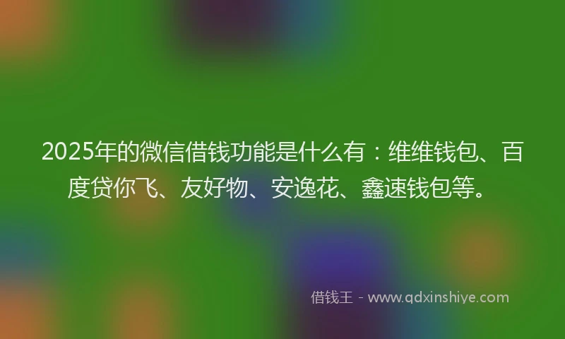 2025年的微信借钱功能是什么有：维维钱包、百度贷你飞、友好物、安逸花、鑫速钱包等。