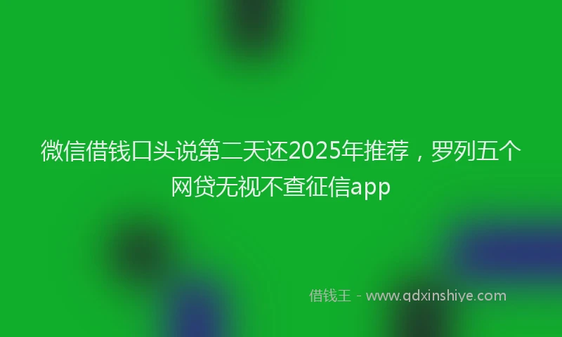 微信借钱口头说第二天还2025年推荐，罗列五个网贷无视不查征信app