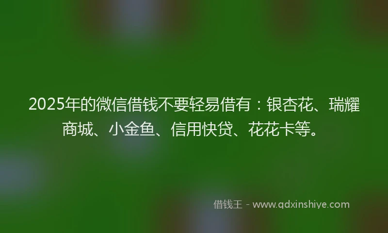 2025年的微信借钱不要轻易借有：银杏花、瑞耀商城、小金鱼、信用快贷、花花卡等。