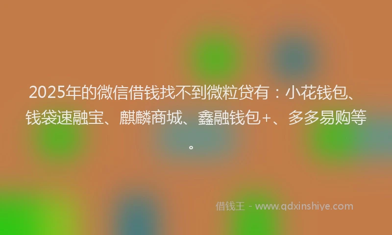 2025年的微信借钱找不到微粒贷有：小花钱包、钱袋速融宝、麒麟商城、鑫融钱包+、多多易购等。