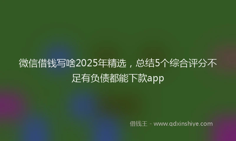 微信借钱写啥2025年精选，总结5个综合评分不足有负债都能下款app