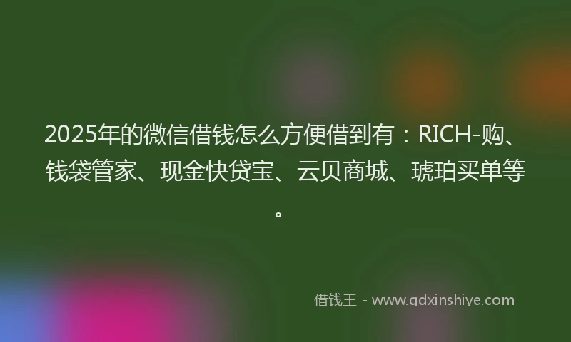 2025年的微信借钱怎么方便借到有：RICH-购、钱袋管家、现金快贷宝、云贝商城、琥珀买单等。