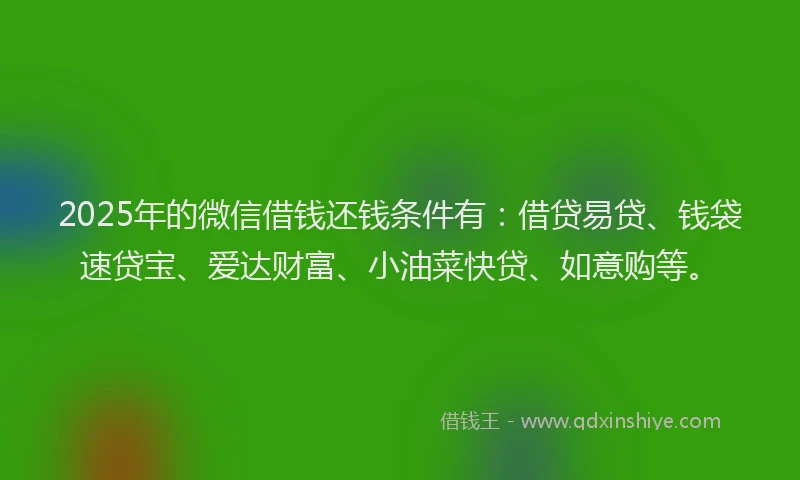 2025年的微信借钱还钱条件有：借贷易贷、钱袋速贷宝、爱达财富、小油菜快贷、如意购等。