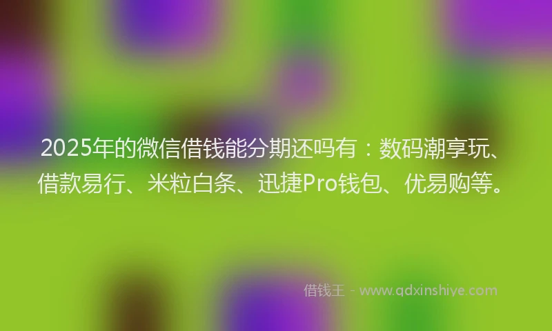 2025年的微信借钱能分期还吗有：数码潮享玩、借款易行、米粒白条、迅捷Pro钱包、优易购等。