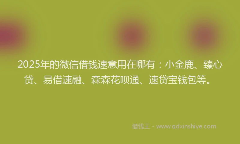 2025年的微信借钱速意用在哪有：小金鹿、臻心贷、易借速融、森森花呗通、速贷宝钱包等。