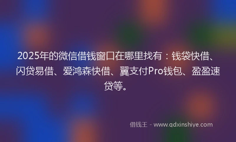 2025年的微信借钱窗口在哪里找有：钱袋快借、闪贷易借、爱鸿森快借、翼支付Pro钱包、盈盈速贷等。
