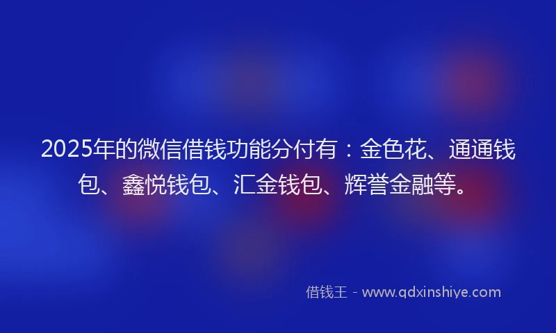 2025年的微信借钱功能分付有：金色花、通通钱包、鑫悦钱包、汇金钱包、辉誉金融等。