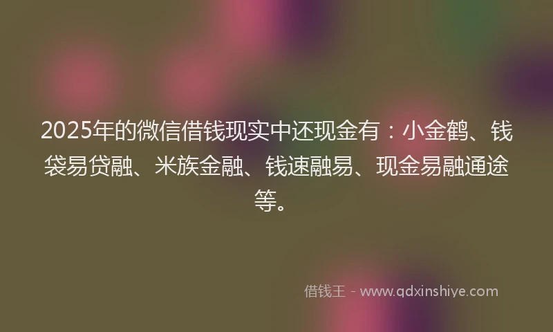 2025年的微信借钱现实中还现金有：小金鹤、钱袋易贷融、米族金融、钱速融易、现金易融通途等。
