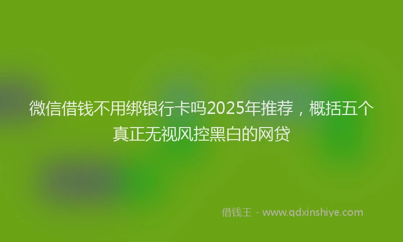 微信借钱不用绑银行卡吗2025年推荐，概括五个真正无视风控黑白的网贷