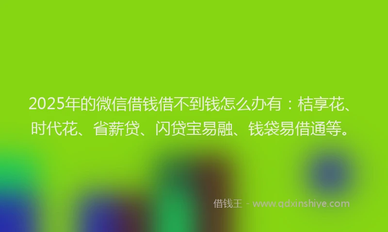 2025年的微信借钱借不到钱怎么办有：桔享花、时代花、省薪贷、闪贷宝易融、钱袋易借通等。