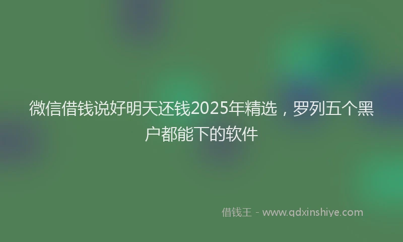 微信借钱说好明天还钱2025年精选，罗列五个黑户都能下的软件