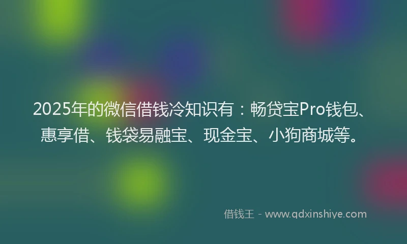 2025年的微信借钱冷知识有：畅贷宝Pro钱包、惠享借、钱袋易融宝、现金宝、小狗商城等。