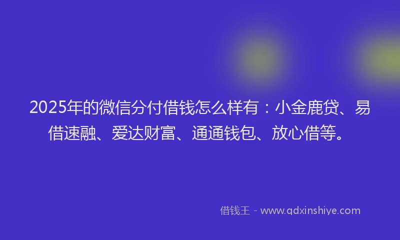 2025年的微信分付借钱怎么样有：小金鹿贷、易借速融、爱达财富、通通钱包、放心借等。