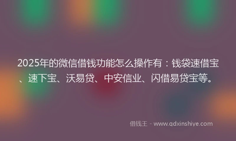 2025年的微信借钱功能怎么操作有：钱袋速借宝、速下宝、沃易贷、中安信业、闪借易贷宝等。
