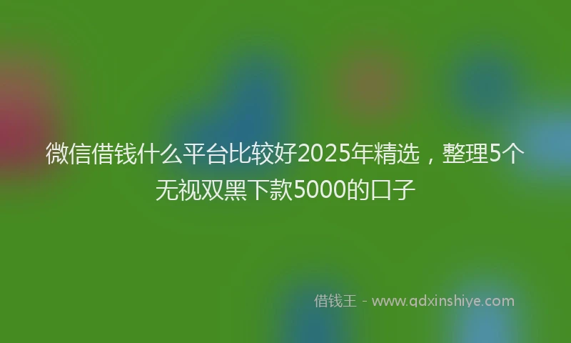 微信借钱什么平台比较好2025年精选，整理5个无视双黑下款5000的口子