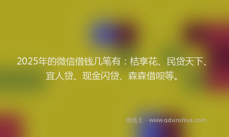 2025年的微信借钱几笔有：桔享花、民贷天下、宜人贷、现金闪贷、森森借呗等。