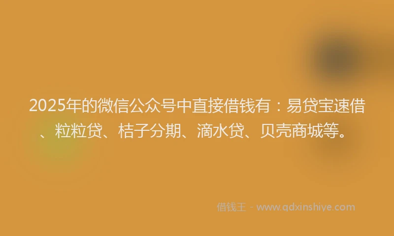 2025年的微信公众号中直接借钱有：易贷宝速借、粒粒贷、桔子分期、滴水贷、贝壳商城等。