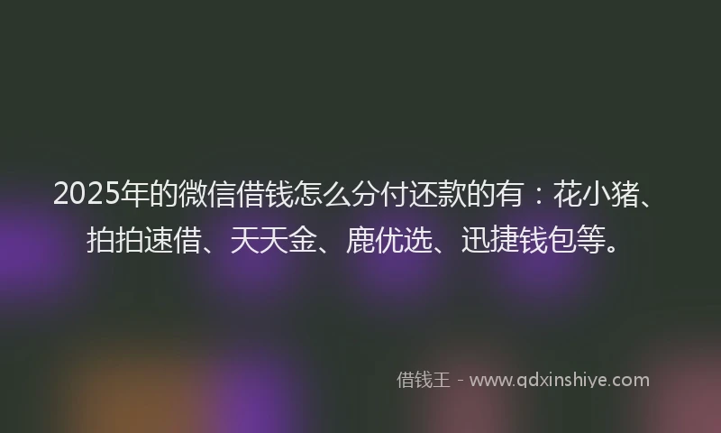 2025年的微信借钱怎么分付还款的有:花小猪、拍拍速借、天天金、鹿优选、迅捷钱包等。