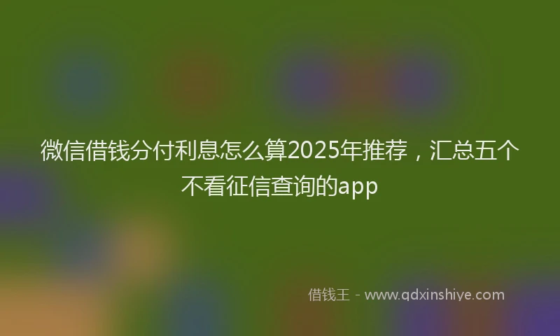 微信借钱分付利息怎么算2025年推荐，汇总五个不看征信查询的app
