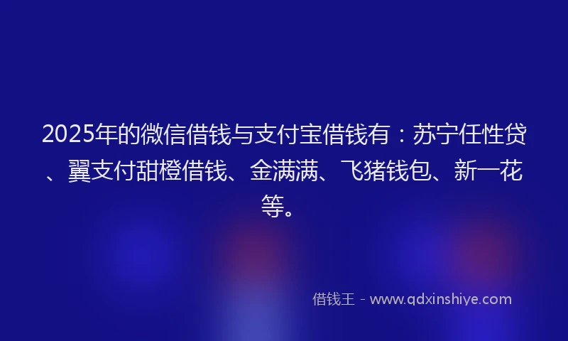 2025年的微信借钱与支付宝借钱有：苏宁任性贷、翼支付甜橙借钱、金满满、飞猪钱包、新一花等。